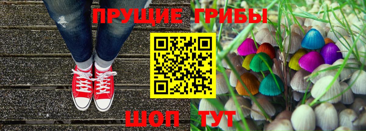 Галлюциногенные грибы Psilocybe Топки
