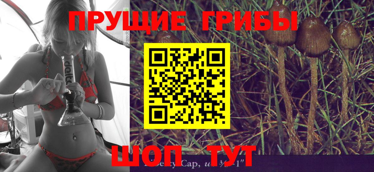 Топки  Псилоцибиновые грибы GOLDEN TEACHER  Вход с VPN 
